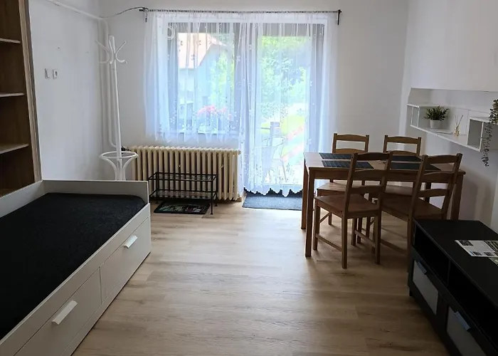 Pod Ostasem Appartement Police nad Metují
